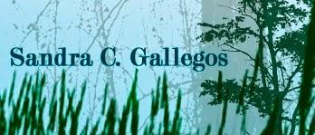 #LeoAutoresEspañoles y un par de cosillas más