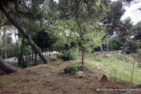 JAMBOREE NACIONAL 1929