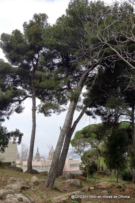 JAMBOREE NACIONAL 1929