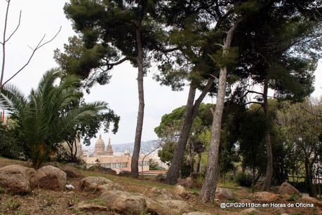 JAMBOREE NACIONAL 1929