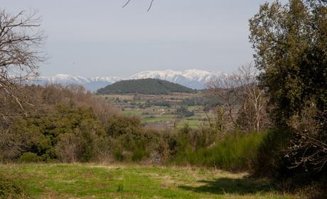 Antes de declararse esta zona Parque Natural de la zona volcánica de la Garrocha este  volcán estuvo dedicado a la explotación de gredas, para la producción de ladrillos y pistas de tenis. Foto: Sara Gordón