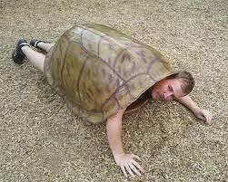 El arte de la lentitud.