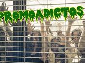 Promoadictos, zombies promociones