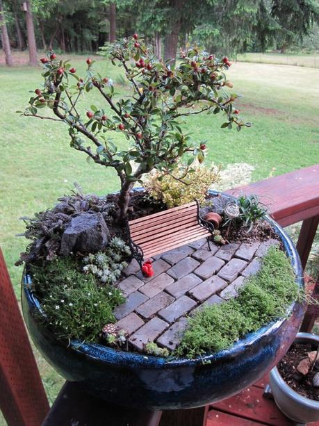 Part fairy garden/part bonsai park, this miniature landscape would be a fun addition to any patio.