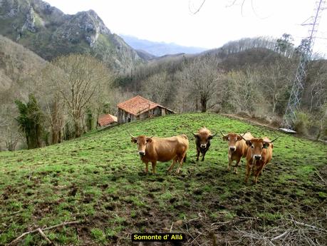 Riocaliente-Tronceda-Mofrechu-El Puertu Cuana