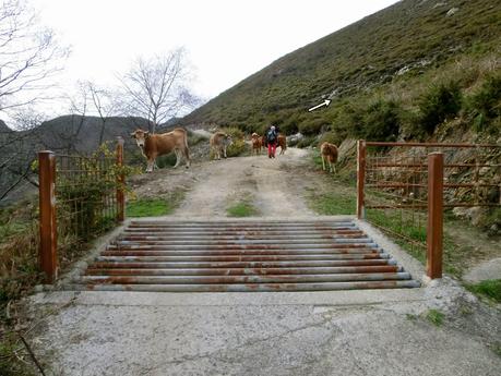 Riocaliente-Tronceda-Mofrechu-El Puertu Cuana
