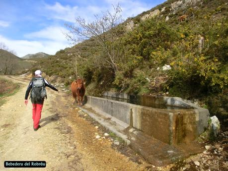 Riocaliente-Tronceda-Mofrechu-El Puertu Cuana