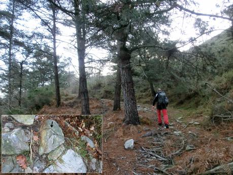 Riocaliente-Tronceda-Mofrechu-El Puertu Cuana