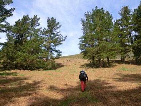 Riocaliente-Tronceda-Mofrechu-El Puertu Cuana