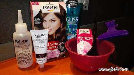 Mi experiencia con el tinte Palette Perfect Gloss Color palette tinte