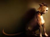 Eugenio Zanetti teatro mundo