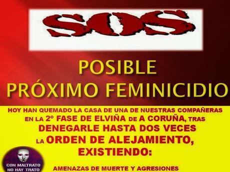 La R.F.E.F. premia por sus 