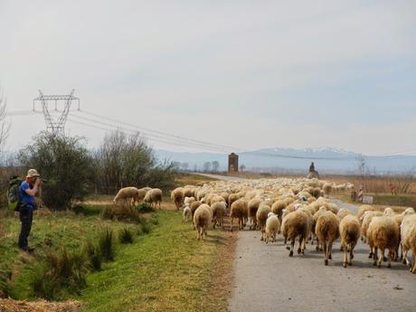 Camino de Santiago. De León a Hospital de Órbigo (Castilla y León)