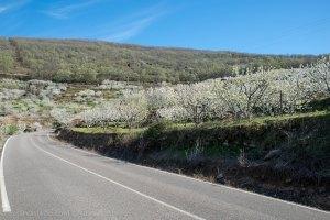 Carretera CCV-173 (Cáceres)
