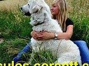 ¿Cómo aliviar dolor emocional?