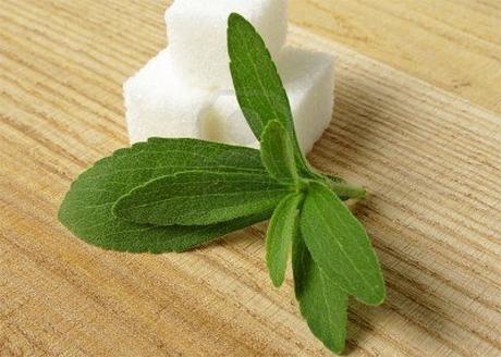 Stevia