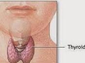 glándula tiroides importancia fertilidad