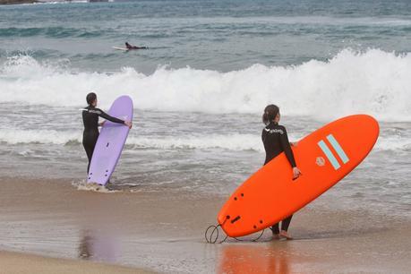 #Artsurfblogtrip ✌