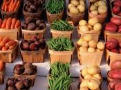 calidad verduras hortalizas.