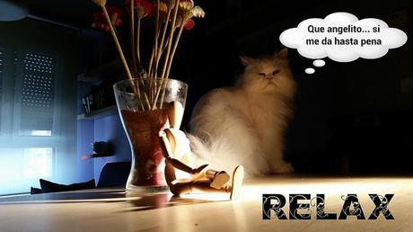 El Patxi. Momento Relax II