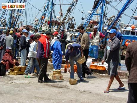 Essaouira, una ciudad para descubrir en tu próximo viaje a Marruecos