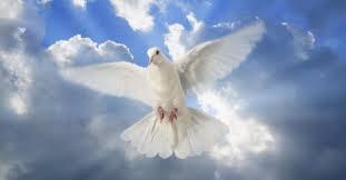 NO AL ARSÉNICO EN EL AGUA DIARIA