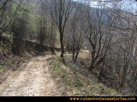 Ruta Linares, La Loral, Buey Muerto, Cuevallagar: Pista a Santo Adriano del Monte