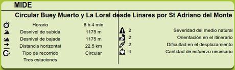 Datos MIDE ruta Linares, Buey Muerto y La Loral