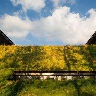 Centro Marsan 12.jpg