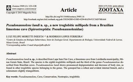 Nueva especie de diplópodo descubierta en Brasil