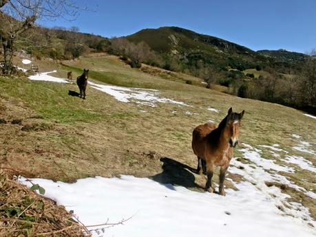 Por los valles de Zurea  (Valle del Teso-Valle de San Bras)