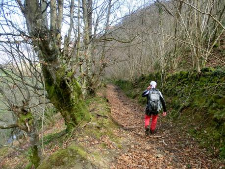 Por los valles de Zurea  (Valle del Teso-Valle de San Bras)