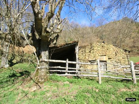 Por los valles de Zurea  (Valle del Teso-Valle de San Bras)