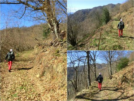 Por los valles de Zurea  (Valle del Teso-Valle de San Bras)