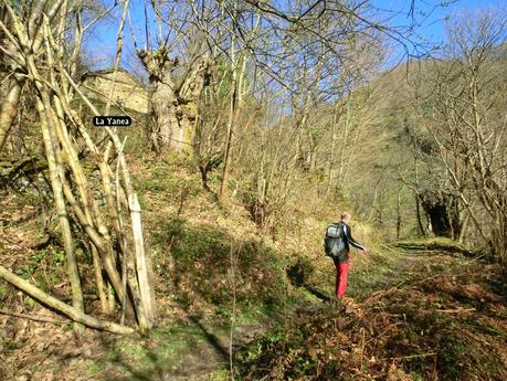 Por los valles de Zurea  (Valle del Teso-Valle de San Bras)