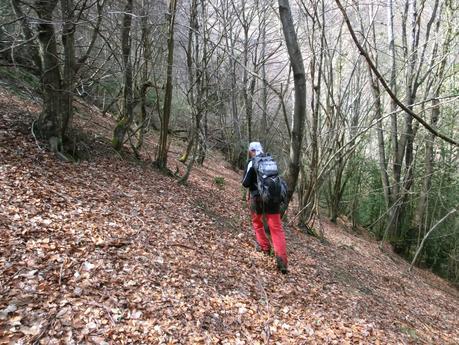 Por los valles de Zurea  (Valle del Teso-Valle de San Bras)
