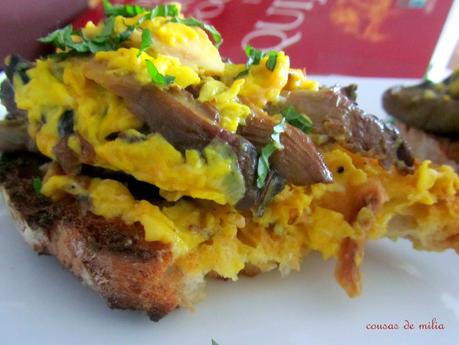 Suspiros de Dulcinea