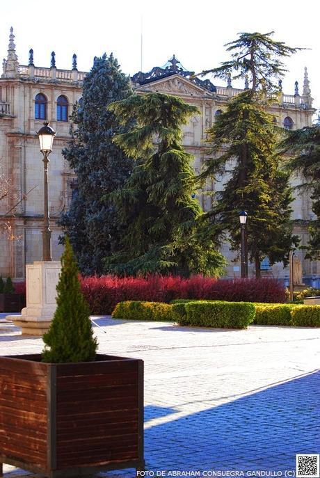 CERVANTINAlcalá: Hoy 23 de Abril de 2015, en el Teatro Paraninfo de la Universidad de Alcalá de Henares, el escritor e intelectual Juan Goytisolo recibe el Premio de Literatura en Lengua Castellana Miguel de Cervantes.