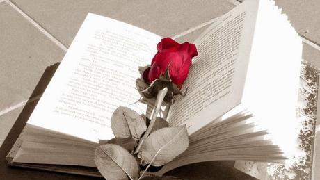 Feliz Sant Jordi !!!! Feliz Sant Jordi !!!!