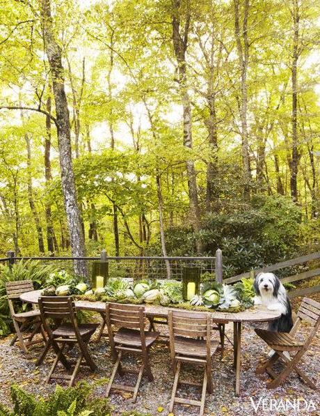 Vivir la primavera  /Living Spring