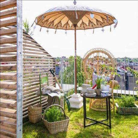 Vivir la primavera  /Living Spring