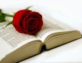 Sant Jordi, Día del Libro Sant Jordi, Día del Libro