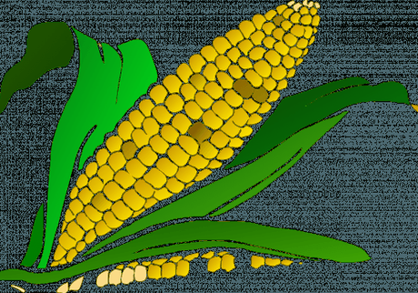 Los caminos del maíz