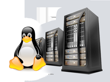 Los Mejores Web Hosting Linux-Amigables del 2014