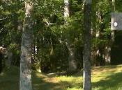 Santuario Urquiola:un buen moto