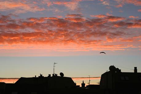 vistas_2_20150219 - Version 2