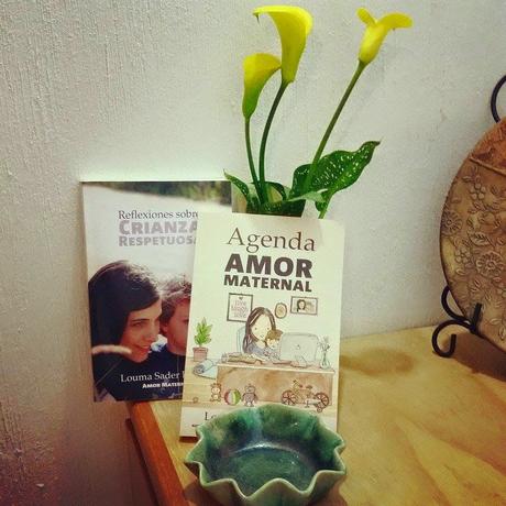 Feliz Día del Libro y Feliz San Jordi 2015: ¡Te regalo un libro!
