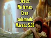 Nunca demasiado tarde