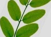 Tercer Certamen Internacional Ensayo Masónico