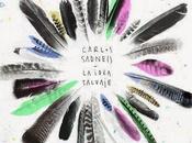 Carlos Sadness: cuchillo romo